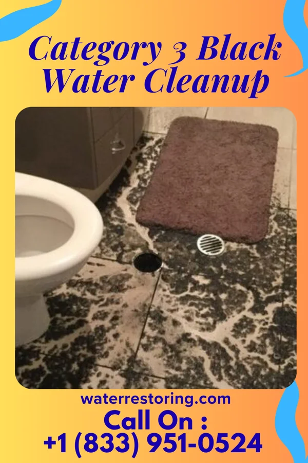 Category 3 Black Water Cleanup in Kim, CO