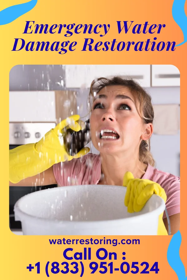 Emergency Water Damage Restoration in Kim, CO
